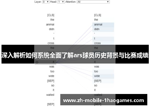 深入解析如何系统全面了解ars球员历史背景与比赛成绩