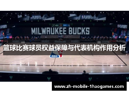 篮球比赛球员权益保障与代表机构作用分析
