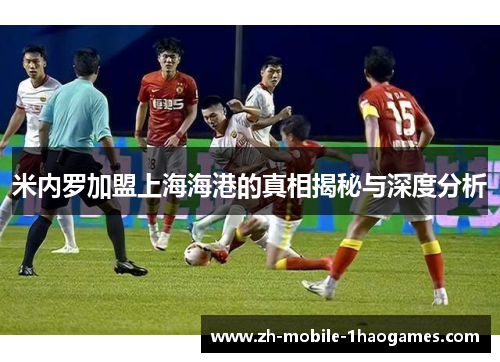 米内罗加盟上海海港的真相揭秘与深度分析