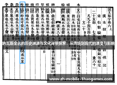 纳瓦斯全名的历史渊源与文化背景探索：从传统到现代的演变与影响