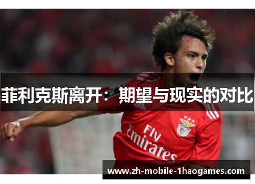 菲利克斯离开:期望与现实的对比 菲利克斯离开:期望与现实的对比