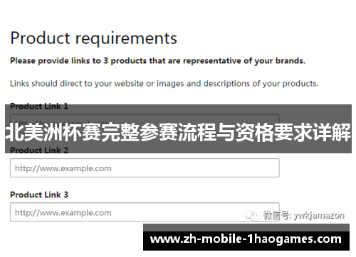 北美洲杯赛完整参赛流程与资格要求详解 北美洲杯赛完整参赛流程与资格要求详解
