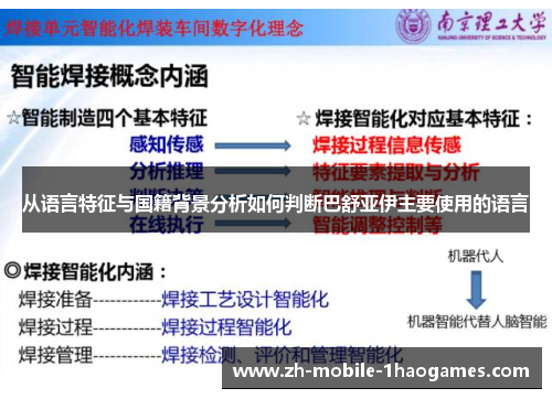 从语言特征与国籍背景分析如何判断巴舒亚伊主要使用的语言 从语言特征与国籍背景分析如何判断巴舒亚伊主要使用的语言