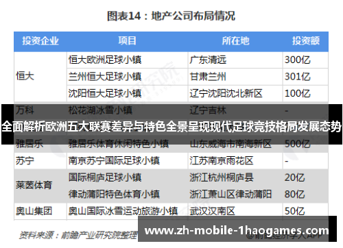 全面解析欧洲五大联赛差异与特色全景呈现现代足球竞技格局发展态势