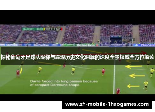 探秘葡萄牙足球队昵称与辉煌历史文化渊源的深度全景权威全方位解读