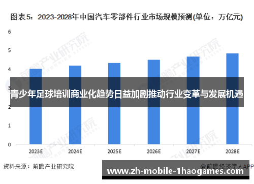 青少年足球培训商业化趋势日益加剧推动行业变革与发展机遇 青少年足球培训商业化趋势日益加剧推动行业变革与发展机遇
