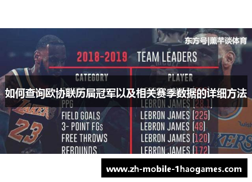 如何查询欧协联历届冠军以及相关赛季数据的详细方法