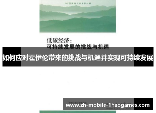 如何应对霍伊伦带来的挑战与机遇并实现可持续发展
