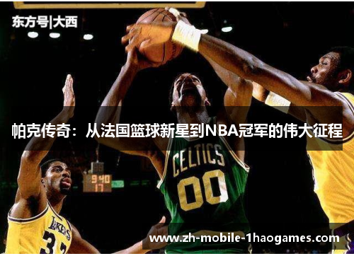 帕克传奇：从法国篮球新星到NBA冠军的伟大征程