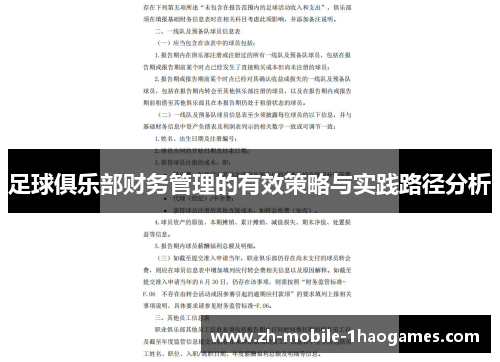 足球俱乐部财务管理的有效策略与实践路径分析