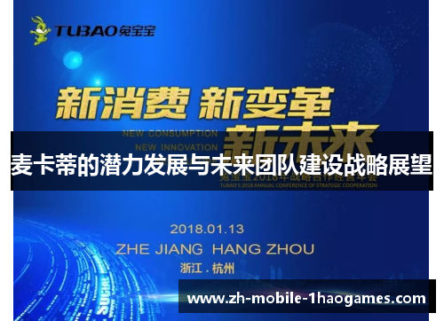 麦卡蒂的潜力发展与未来团队建设战略展望 麦卡蒂的潜力发展与未来团队建设战略展望